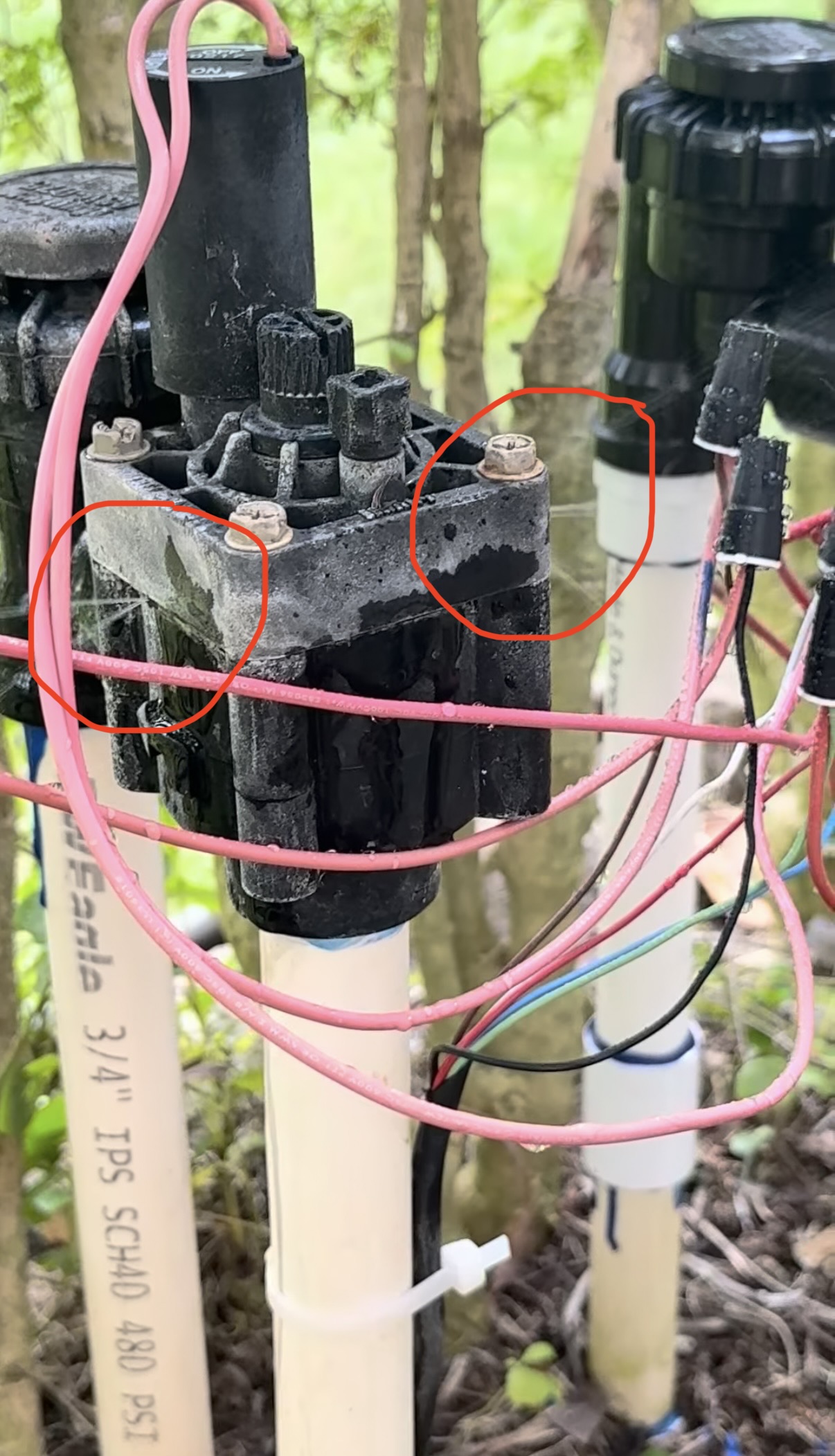 Old sprinkler valve spraying water at a beachfront Haleʻiwa home, with leaking areas circled in red